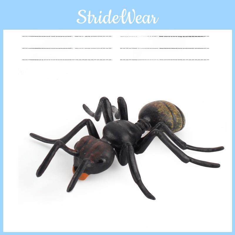 Научный набор моделей насекомых с осами, муравьями, сверчками для обучения детей и исследования природы