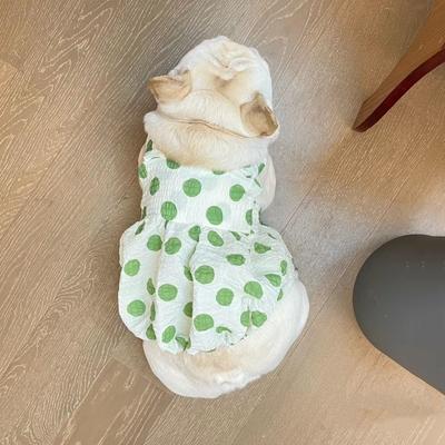 Одежда и обувь – Платья для собак