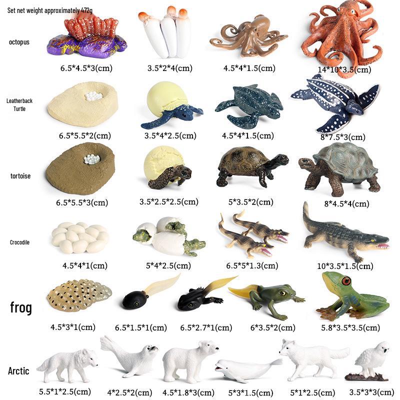 Realistic Arctic Animal Models Toys: Polar Bear, Beluga, Seal, Wolf, Snow Leopard, Penguin