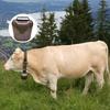 Anti Lost For Festival Party Farm Animal Supplies Pendants Copper Bell Opening Bell Grazing Bell