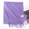New Solid Color Maillard Imitation Cashmere Scarf for Women Autumn and Winter High End Warm Shawl Simple Scarf