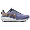 Nike Vomero 17 Diffused Blue Gold Женские кроссовки Пепельно-сланцево-белый металлик-золото FB8502-400