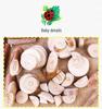 Wood Chips & Tree Slices Activity Kit for Kindergarten