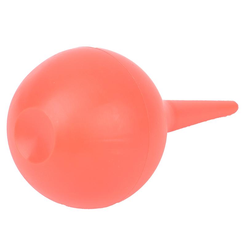 Выдувание воздушного шара Камера Компьютерная очистка от пыли Выдувание пылевого шара Суккулентное растение Воздушный выдувной шар