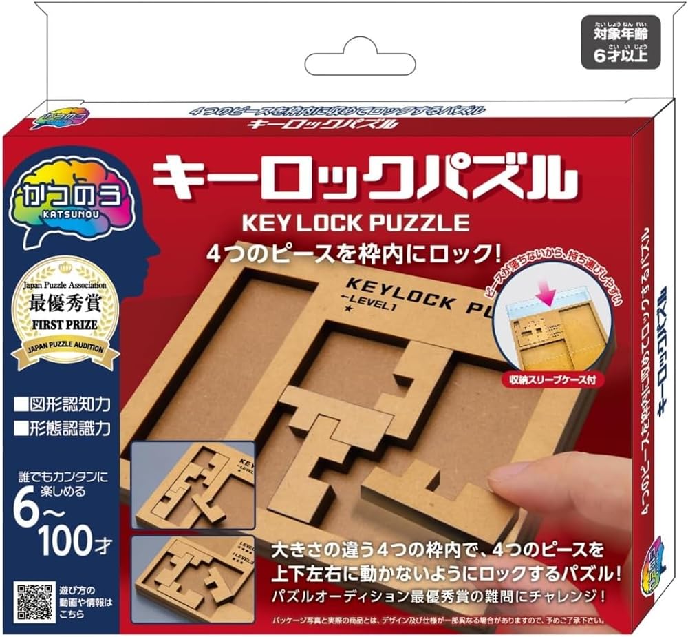 Hanayama Katsunou Key Lock Puzzle