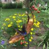 Butterfly Banana Hammock, Feeder, Holder for Yard, Garden Decor