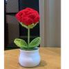 1PC Handmade Weaving Mini Potted Flowers DIY Home Office Desktop Decoration Potted Plants Wool Home Decoration