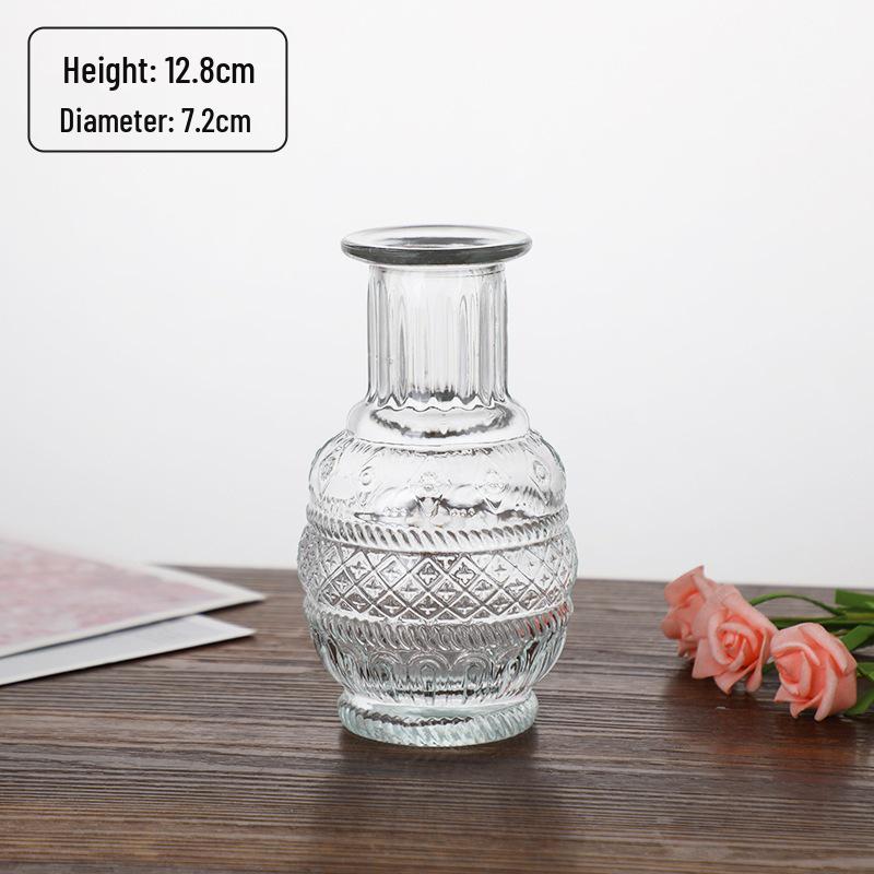 Small French Retro Glass Hydroponic Vase for Home Decor
