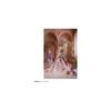 Takara Tomy Licca-chan Doll Photogenic Licca Happy Birthday 2025 Collectible Toy