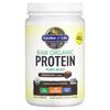 Raw Organic Protein, Organic Plant Formula, Chocolate, 660G (23.28Oz)