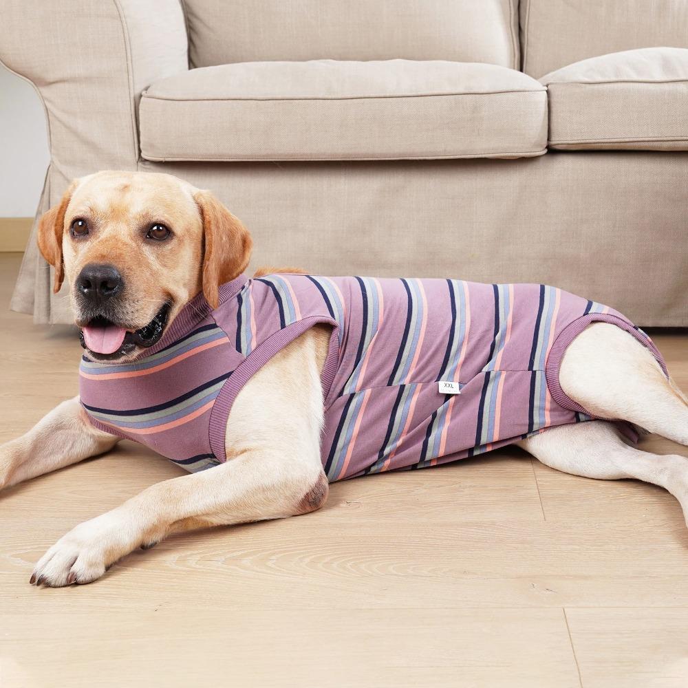 Breathable Dog Surgery Recovery Suit Thickened Bite Protective Outfit For Small Medium Large Dog