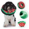 Dog products-inflatable pet protection neck collar leash Elizabeth collar pet grooming protection neck wrap pet supplies