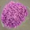 Phantom Flower: Single 20CM Preserved Hydrangea, Handmade Dried Bouquet for Decoration