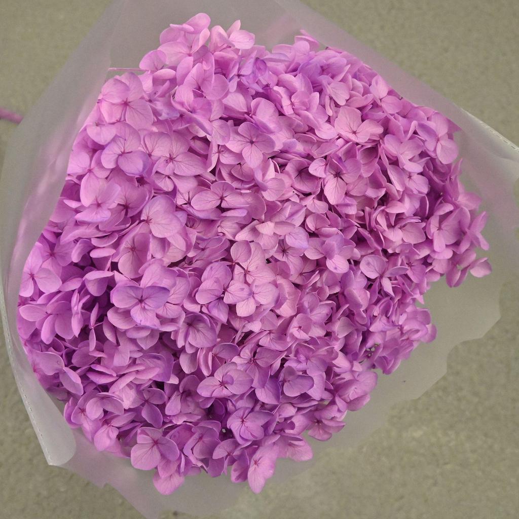 Phantom Flower: Single 20CM Preserved Hydrangea, Handmade Dried Bouquet for Decoration