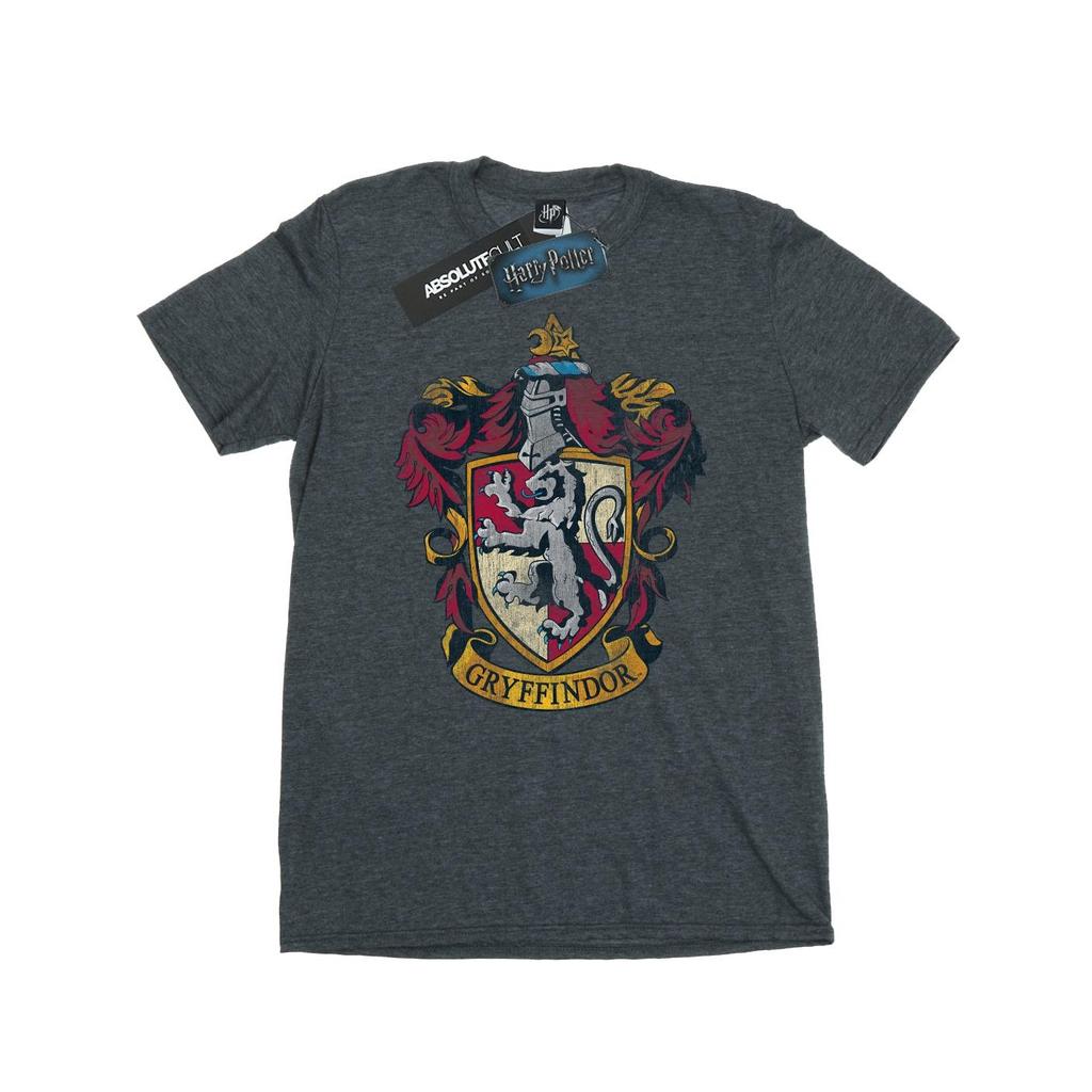 Harry Potter Mens Gryffindor Cotton T-Shirt