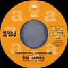 7inch Record JAMIES - Summertime, Summertime 511129 Epic 1974 US Pop Used