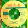 7inch Record NADINE SUTHERLAND - Right Track NONE Digital-B 1993 Jamaica Reggae, Ska & Dub Used