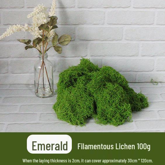 Artificial Simulation Moss Grass for Landscaping and Potted Arrangements