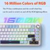 FREEWOLF F75 75% Mechanical Keyboard Tri-Mode Wireless Bluetooth Hot Swap RGB PBT 4000mAh Gasket Mount, AULA F75 Same Model