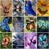 Diy 5D алмазная живопись полный круглый дрель бабочка узор Алмазная вышивка крестиком мозаичные наборы домашний декор настенный художественный подарок