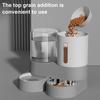 Automatic Pet Feeder 2.4L Dog Food Feeder 2.6L Water Dispenser Travel Auto Cat Feeder Bowl for Small Dogs Cats Rabbits