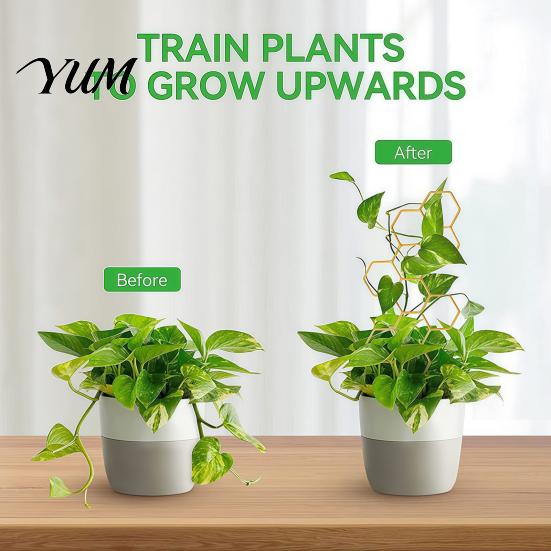 Climbing Plant Accessories for Home Metal Honeycomb Trellis Potted Plants, 13.8" Small Support Stakes Indoor Foliage Hoya Pothos Ivy And Houseplants,