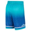 Jordan Charlotte Hornets SW Fan Edition City Edition Swingman Basketball Shorts Men Shorts Aqua-Blue DB4128-480