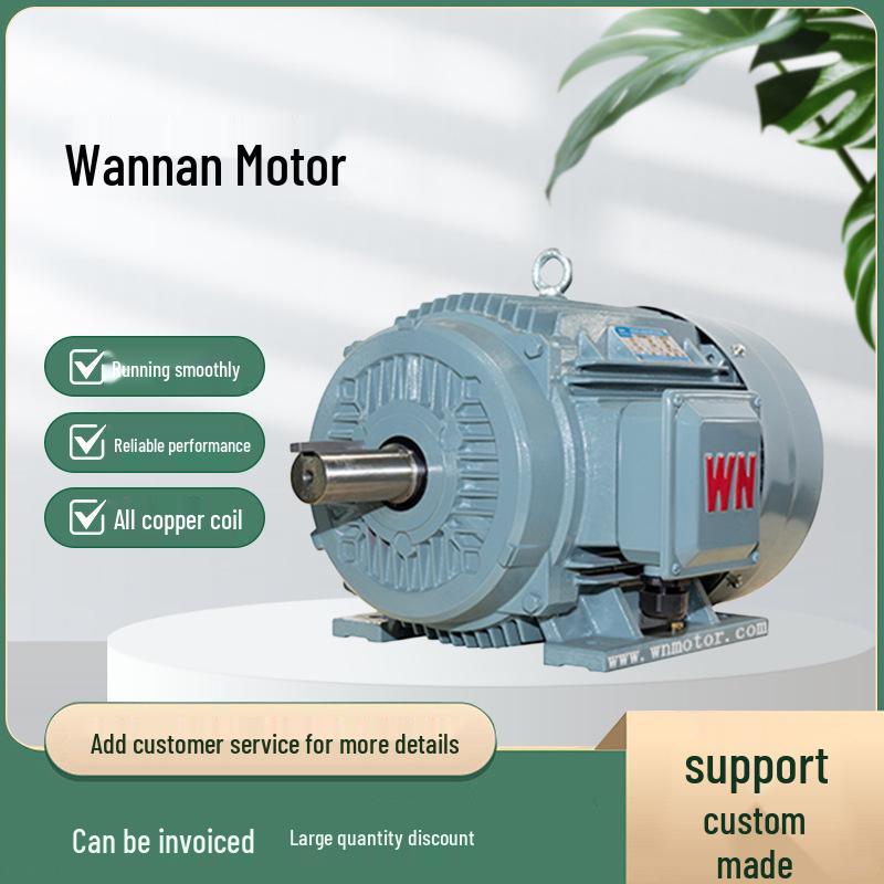 Wannan Motor Серия TYCP2 Трехфазный ПМС-двигатель с регулируемой частотой