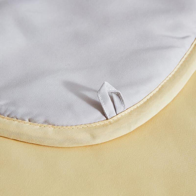 LUOLAI Antibacterial Deep Sleep Tussah Silk Quilt