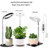 LED Telescopic Plant Growth Lamp: Full Spectrum Ring Light for Succulents and Flowers.