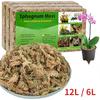 12L / 6L Sphagnum Moss for Plants, Sphagnum Moss for Orchids Dried Orchid Moss, Orchid Soil Peat Moss Potting Mix Soil Moss for Potted Plant