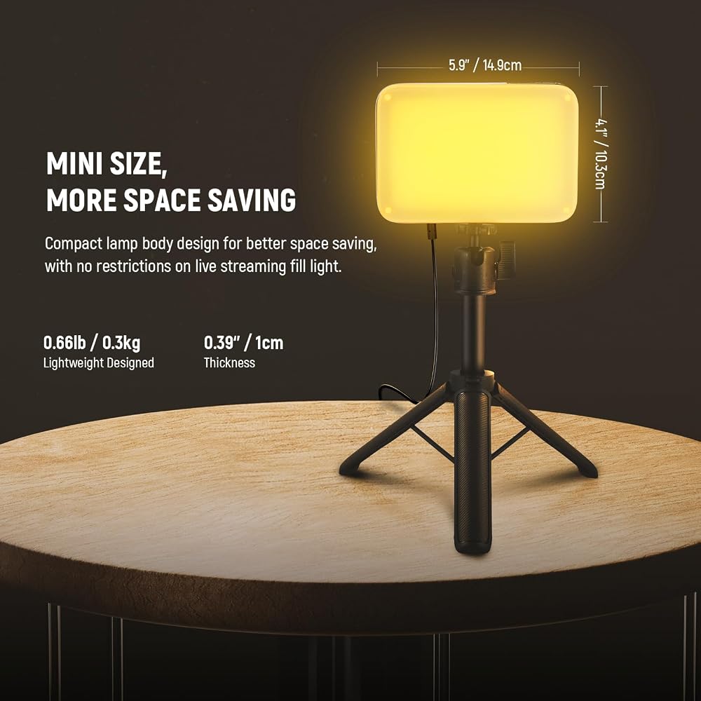 NEEWER BASICS LED Video Light, Photography Light, Dual Color Temperature, Dimmable (3200K-5600K), High Color Rendering Index (CRI 95), Compact and Lig