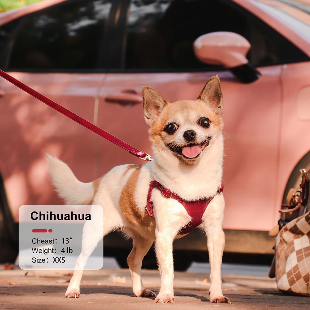 Мягкая Шлейка Поводок для Собак из Натуральной Кожи Набор Маленьких Средних Собак Кошек Шлейка Жилет Для Чихуахуа Французского Бульдога Прогулки Тренировки