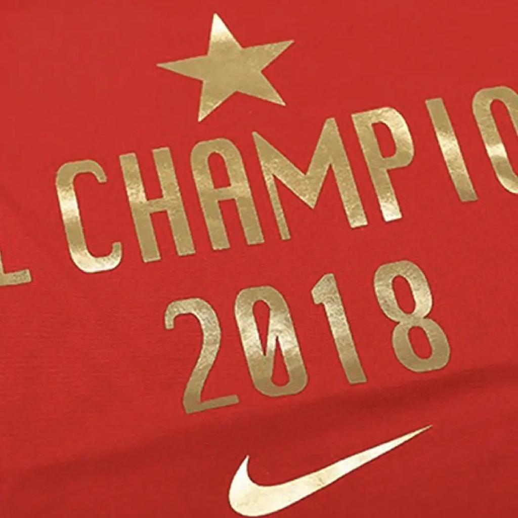 Nike Grade School T Shirts Crew Neck Moderate CQ0237-611