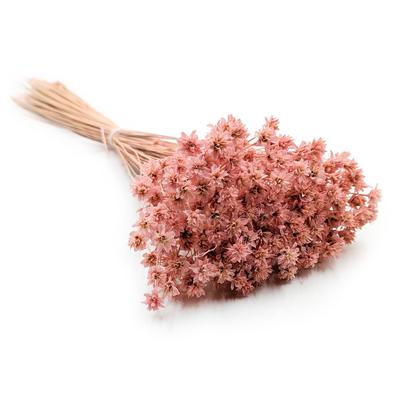 Hill Flower - Różowy