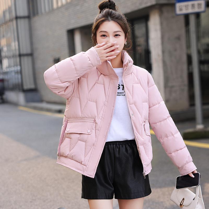 Small short cotton-padded women's winter warm stand-up collar loose belly covering thin down cotton-padded women's cotton-padded jacket tide