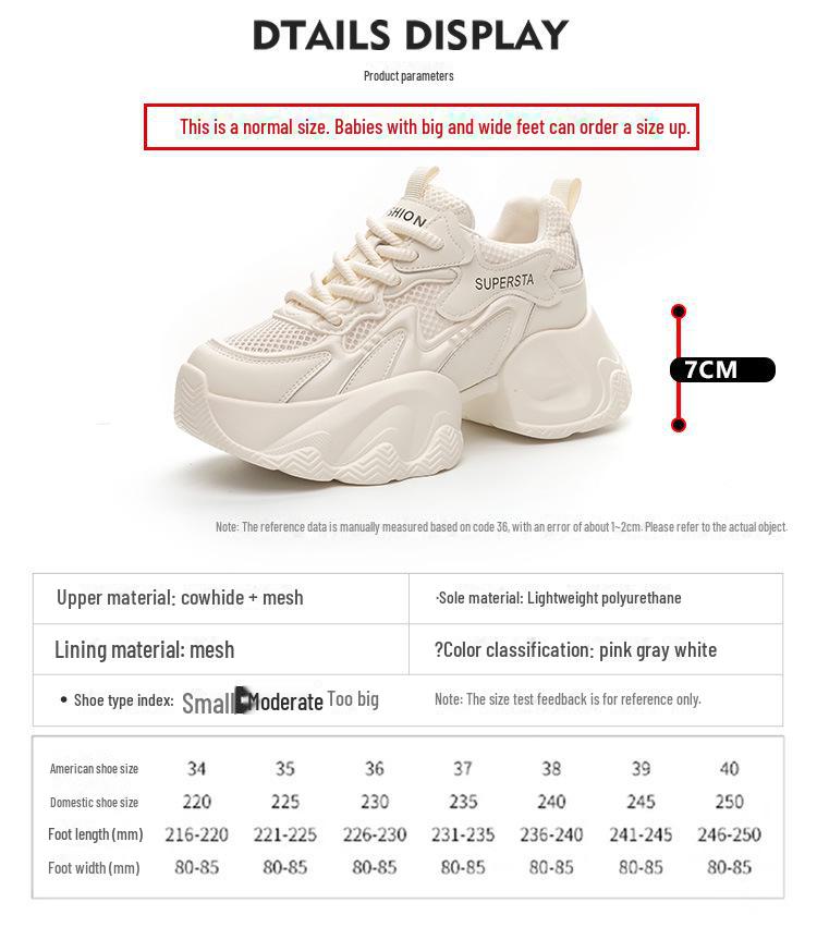 Женские сетчатые туфли 2025 года от Dad Shoes — модная дышащая спортивная обувь на толстой подошве для повседневного ношения