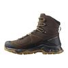 Gore-Tex Quest Element Comfortable Slip-Resistant Durable High-Top Outdoor Functional Shoes Men Shoes Brown L47216100