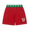 Wales Cymru Boys Short Pyjama Set