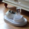 "Automatic Stainless Steel Pet Water Feeder and Bowl for Dogs and Cats"