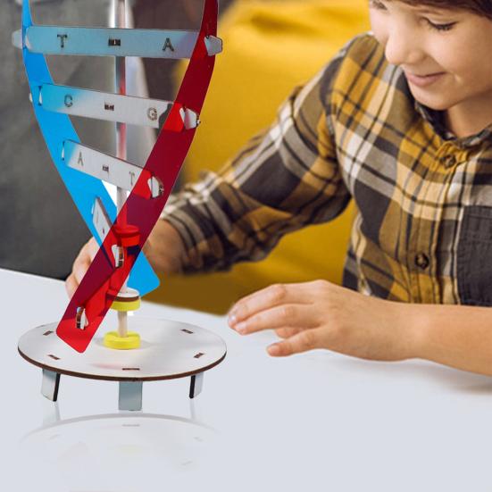 1 Набор Интересный Стимулировать Воображение Улучшить Концентрацию Инновационная Структура Двойной Спирали Модели ДНК Детские Игрушки Экспериментальное Оборудование