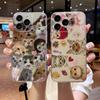 Чехол для телефона с ярким дизайном кошки для iPhone 17 16e 16 15 14 13 12 11mini Pro Max X XR XSMAX 8 7 Air Plus Мягкий чехол