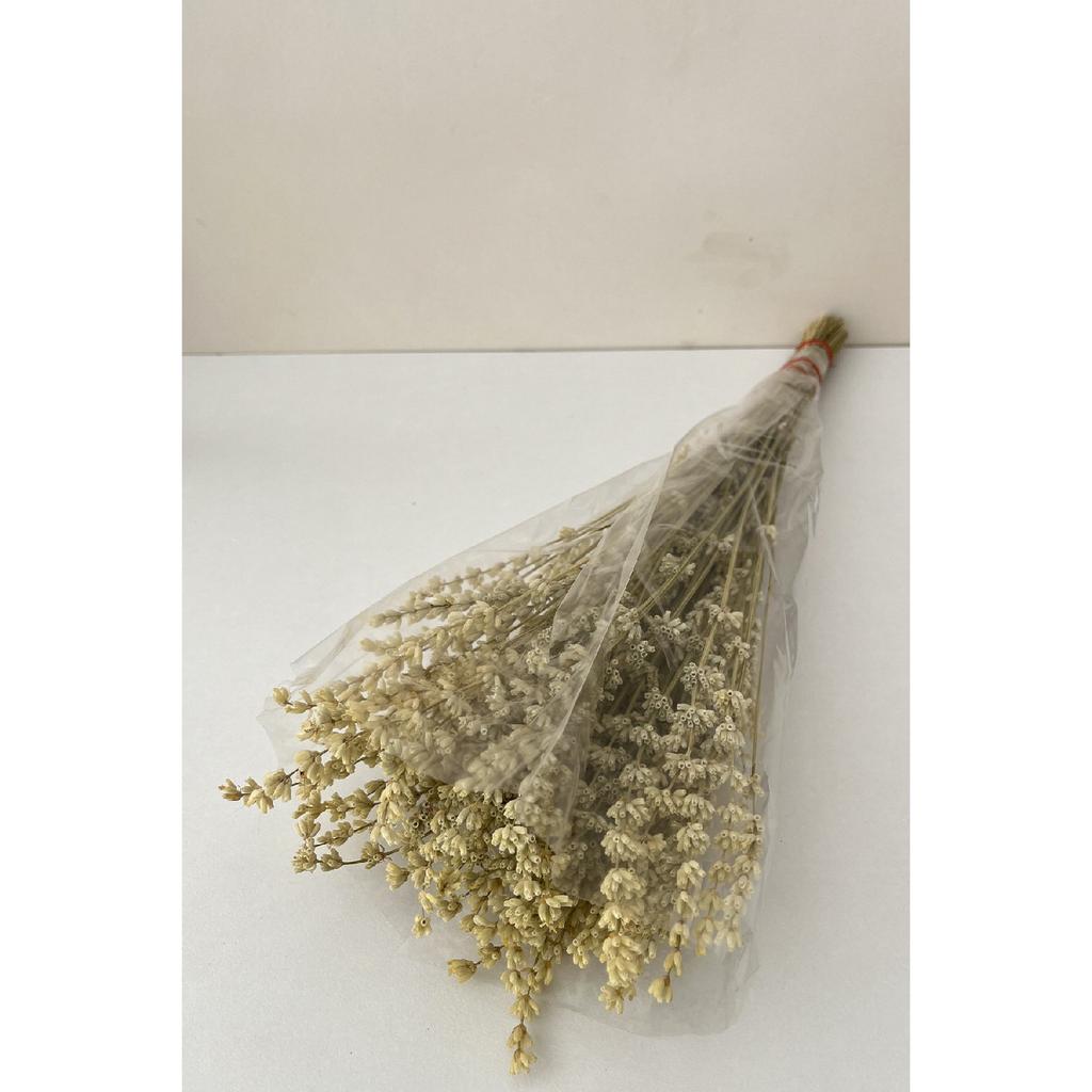 Розовая Лаванда Свадебный Букет Композиция Цветочный Орнамент Ваза Магнит Подарок Сухой Цветок