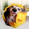 1pc Puppy Playful Automatic Open/Close Umbrella - Compact Travel Umbrella, 8-Rib Heavy-Duty Construction, Ideal Gift, Outdoor Accessory010