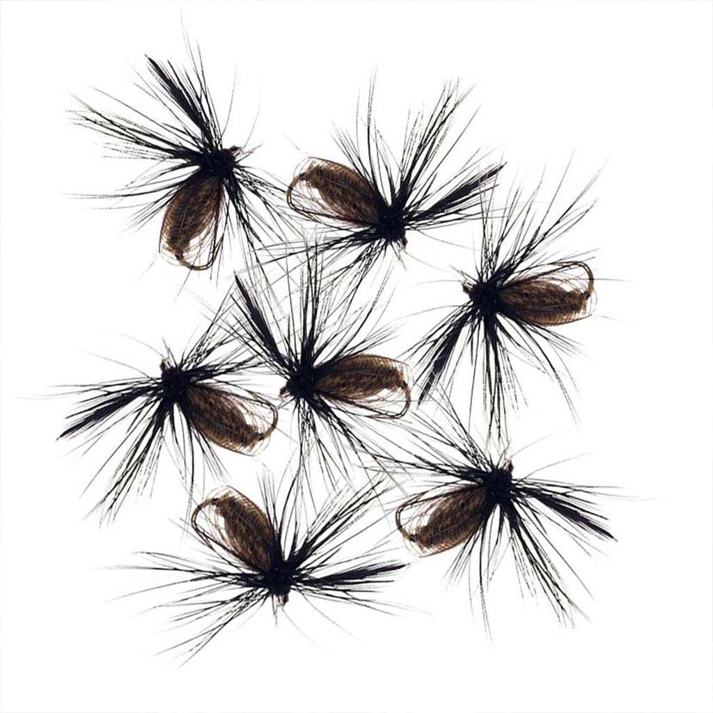 5/10/20/25Pcs/Box Black Fly Peacock Feather Wings Fly Fishing for Trout Bait Size #10 Flies Artificial Insect Bait Lure