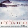 Tracks by Louise Erdrich Paperback Book 9780006546214