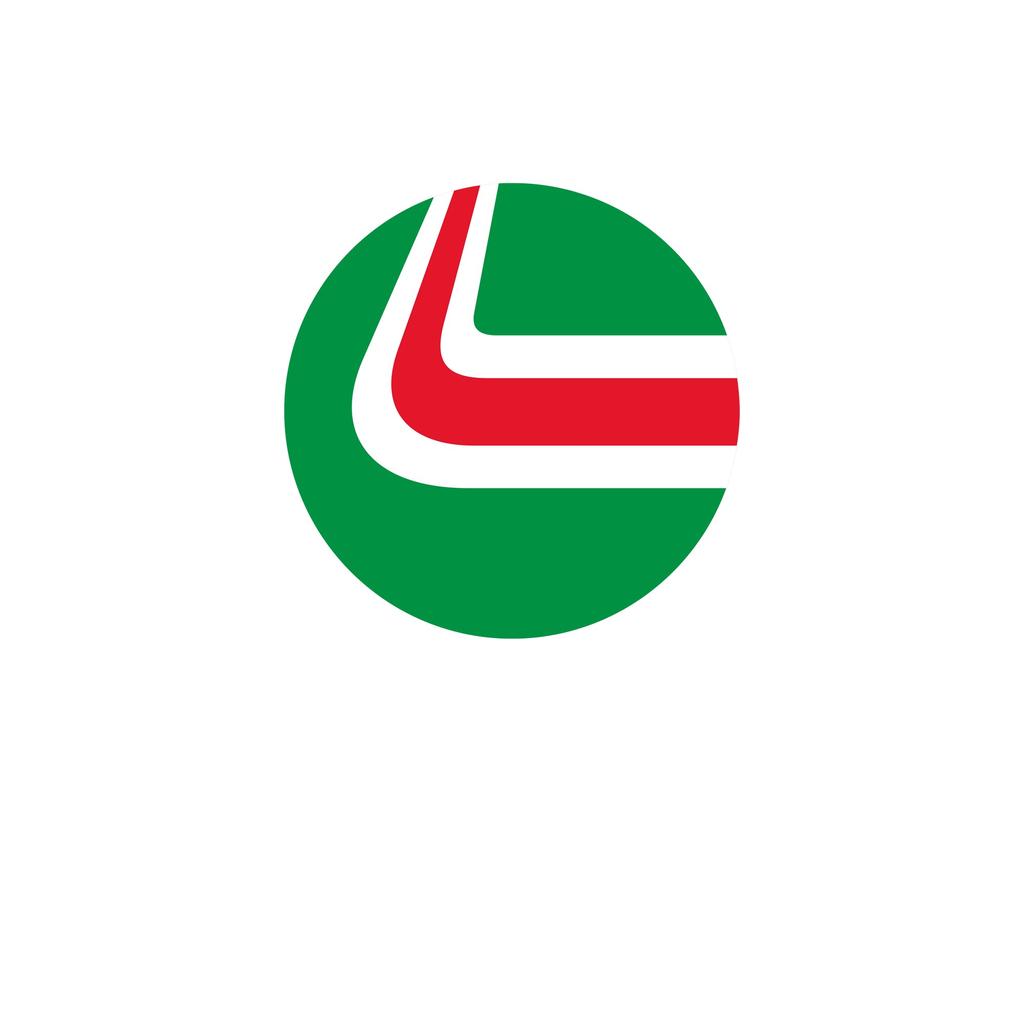 Футболка унисекс для взрослых Castrol