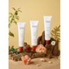 Blay Solid Perfume Signature Floral Scent 30 Ml