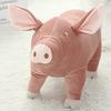 Plush Toy Pigg Pig Cartoon Accompany Sleeping Stuffed Soft Toys 25cm