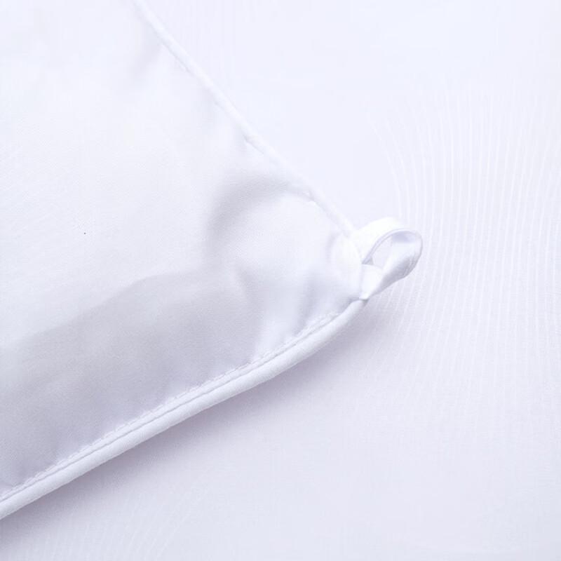 Mercury Home Textiles DH All-Season Antibacterial Mulberry Silk Quilt